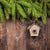 Christmas Tree Branches