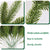 Christmas Tree Branches
