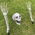 5pc Halloween Skeleton Head, Arms and Legs