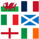 6 Nations Rugby Flags