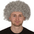 Grey Afro Wig