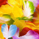 Hawaiian Flower Necklace