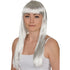 Women's Straight & Long Silver Wig