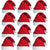 12 x Novelty Adult Santa Hats