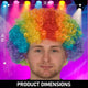 Rainbow-Afro-Wig