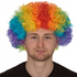 Rainbow Afro Wig
