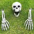 3 Pc Skeleton Head & Arms
