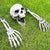 Skeleton Head & Skelton Arms