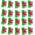 Wales Bunting Flags Banner Decoration
