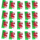 Wales Bunting Flags