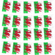 Wales Flag