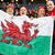 Wales Flag