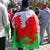 Wales Flag