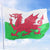 Wales Flag