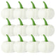 White Halloween Pumpkins