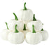 12 x Mini White Pumpkins | Artificial Pumpkins for Halloween/Autumn Decoration